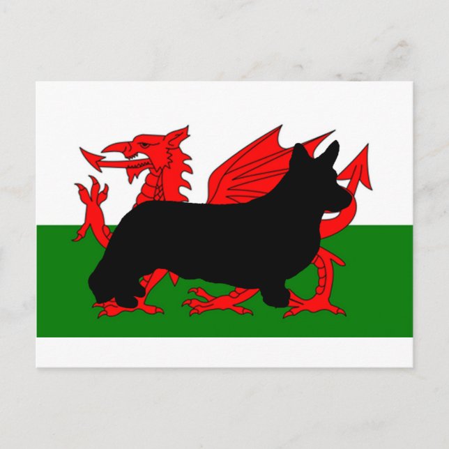 Cartão Postal bandeira da silhueta do cardigan welsh corgi (Frente)