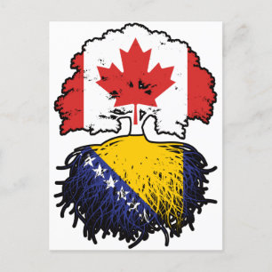 Cartão Postal Bandeira das Raízes da Árvore do Canadá na Bósnia-