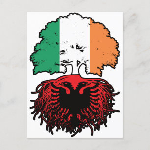 Cartão Postal Bandeira das Raízes de Árvore da Albânia na Irland