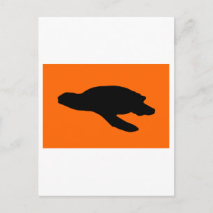 Cartão Postal Bandeira de Afinamento de Tartaruga