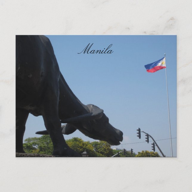 Cartão Postal bandeira de búfalo de manila (Frente)