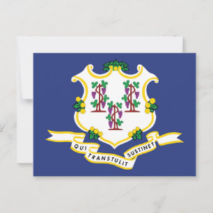 Cartão Postal Bandeira de Connecticut Lembrança Estado da Noz-mo