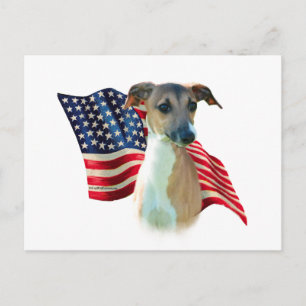 Cartão Postal Bandeira de Greyhound Italiano