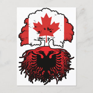 Cartão Postal Bandeira de Raízes de Árvore do Canadá Albanês