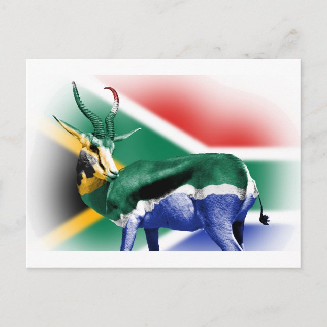 Cartão Postal Bandeira de Springbock na África do Sul (Frente)