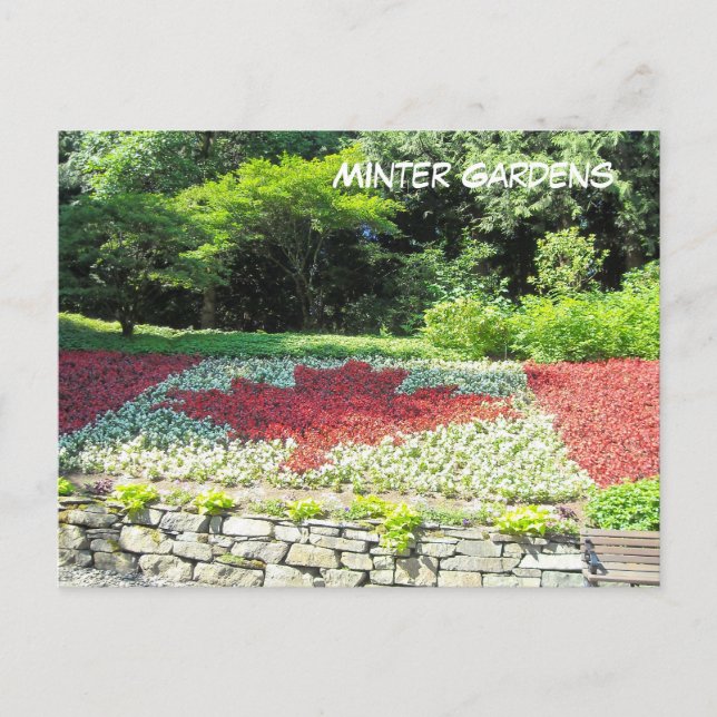 Cartão Postal Bandeira do Canadá (Frente)