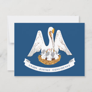Cartão Postal Bandeira do Estado da Louisiana Pelicano Lembrança