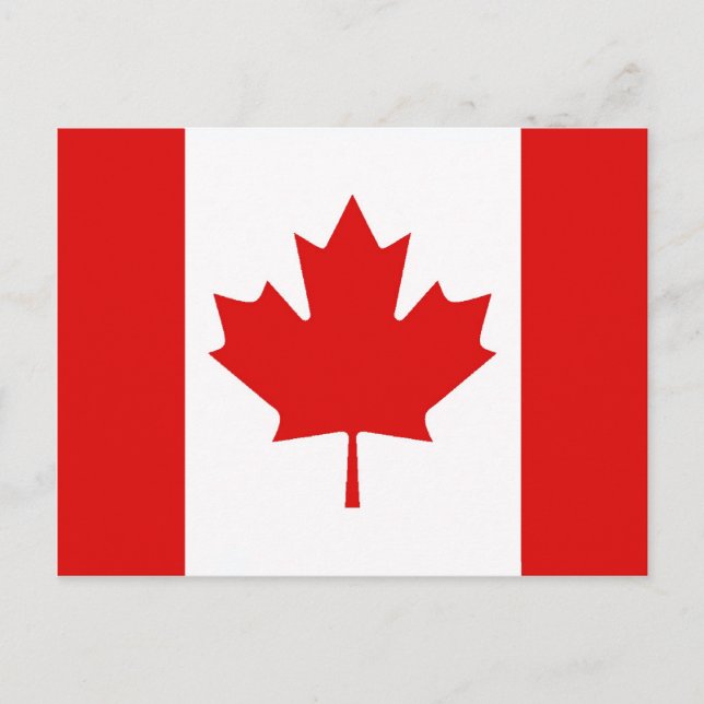 Cartão Postal Bandeira do Maple Leaf do Canadá (Frente)