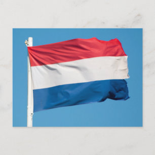 Cartão Postal Bandeira dos Países Baixos