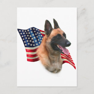 Cartão Postal Bandeira Malinois belga