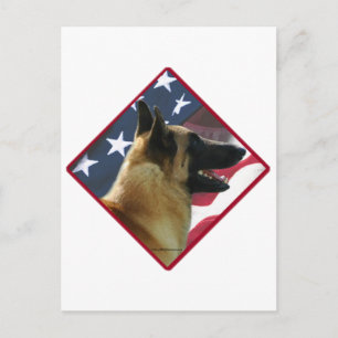 Cartão Postal Bandeira Malinois belga; Malinois 4 de julho, EUA
