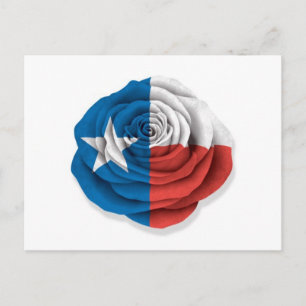 Cartão Postal Bandeira Rosa do Texas em Branco