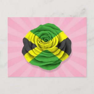 Cartão Postal Bandeira Rosa jamaicana a rosa