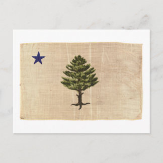 Cartão Postal Bandeira Vintage do Maine de 1901