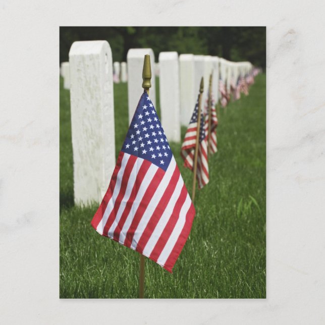 Cartão Postal Bandeiras americanas nos túmulos de veteranos amer (Frente)