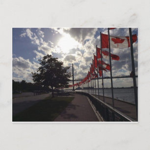 Cartão Postal Bandeiras canadianas na margem do rio