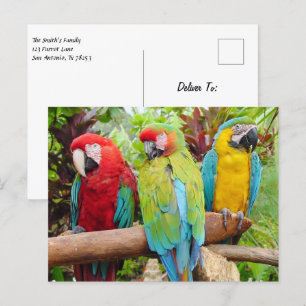 Cartão Postal Bando de arbustos coloridos