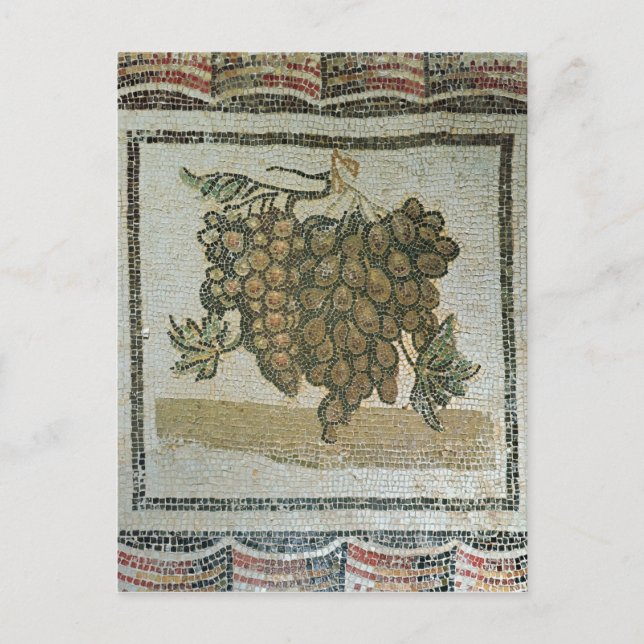 Cartão Postal Bando de uvas brancas, mosaico romano (Frente)