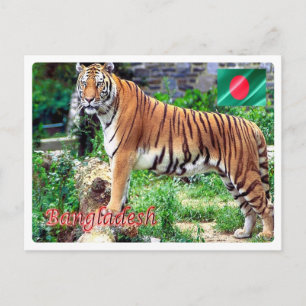 Cartão Postal Bangladesh - O Tigre Real de Bengala -