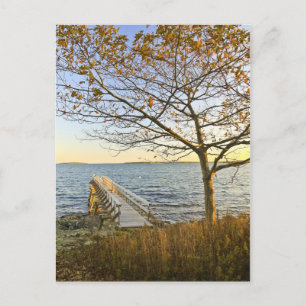 Cartão Postal Banho à luz do Ouro