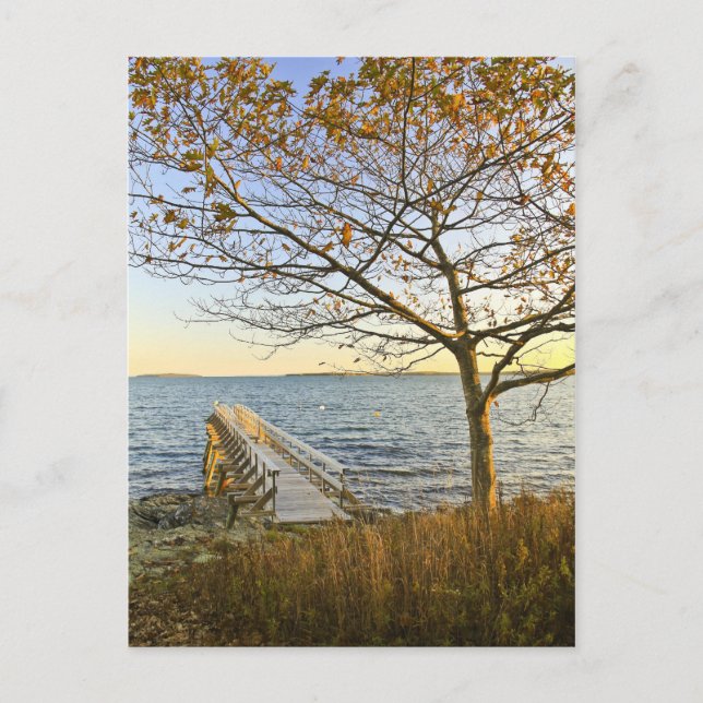 Cartão Postal Banho à luz do Ouro (Frente)