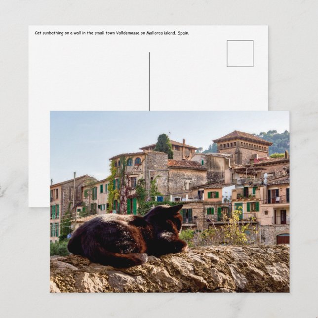 Cartão Postal Banho de sol de gato - Valldemossa, Maiorca (Frente/Verso)