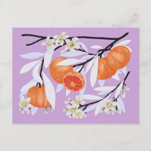 Cartão Postal Banhos de Bloqueio de Citros de Tangerina Lilac Fl