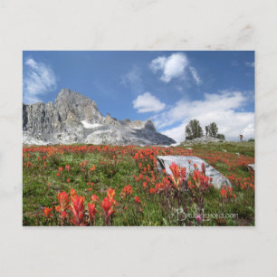 Cartão Postal Banner Pico de Flores Selvagens - Ansel Adams Wild