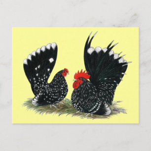 Cartão Postal Bantams Mottled Japonês