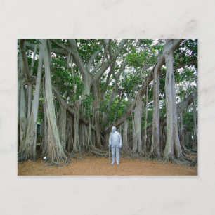 Cartão Postal Banyan Tree Edison & Ford Estate Ft Myers Florida