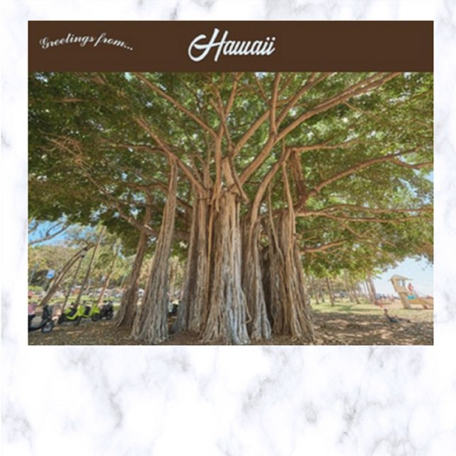 Cartão Postal Banyan Tree Queens Beach em Honolulu Oahu Havaí (Criador carregado)