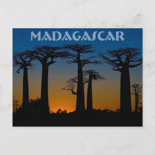 Cartão Postal Baobabs de Madagascar