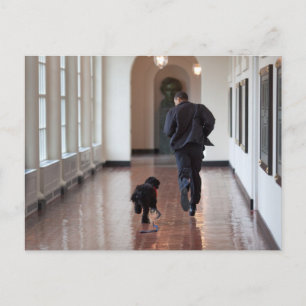 Cartão Postal Barack e Bo Obama