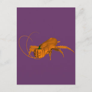 Cartão Postal Barata Laranja