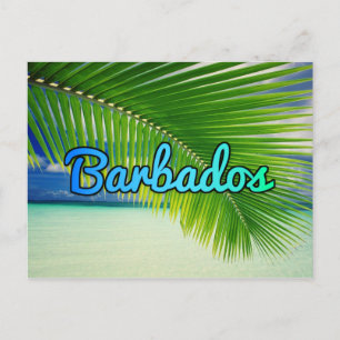 Cartão Postal Barbados