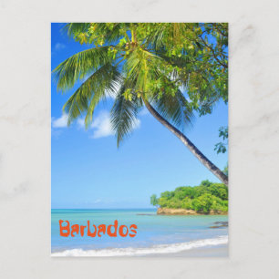 Cartão Postal Barbados
