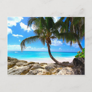 Cartão Postal Barbados - Cartão-postal branco de praia arenosa