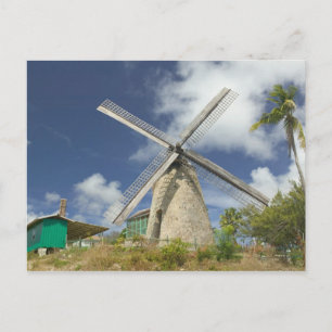 Cartão Postal BARBADOS, Costa Nordeste, Morgan Lewis: Morgan