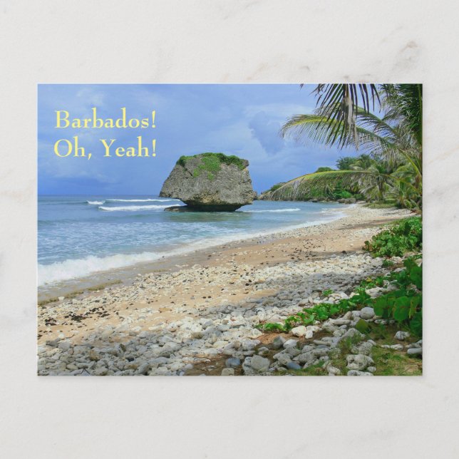 cartão postal, BARBADOS! SIM, BATHSHEBA ROCK (Frente)