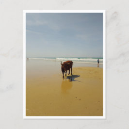 Cartão Postal Barbate, Andaluzia (Espanha)