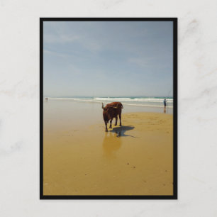 Cartão Postal Barbate, Andaluzia (Espanha)