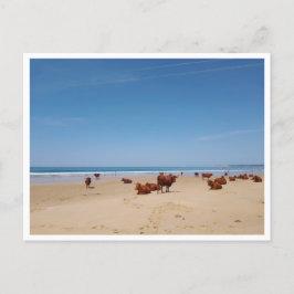 Cartão Postal Barbate, Andaluzia (Espanha)