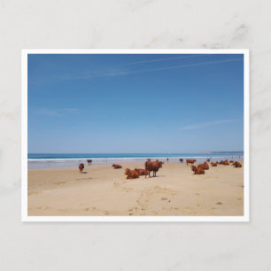 Cartão Postal Barbate, Andaluzia (Espanha)