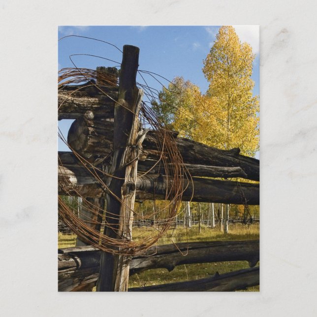 Cartão Postal Barbed Wire (Frente)