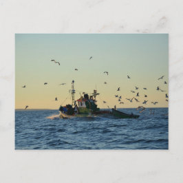 Cartão Postal Barco de pesca e bando de galos.
