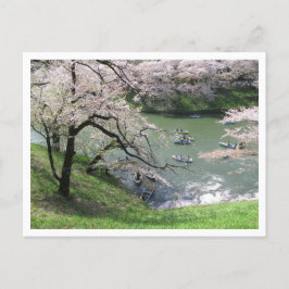 Cartão Postal Barco primavera: Chidorigafuchi, Tóquio