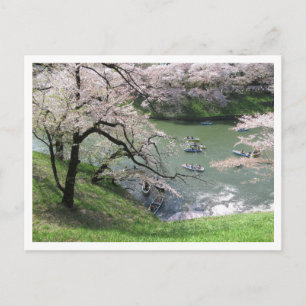 Cartão Postal Barco primavera: Chidorigafuchi, Tóquio