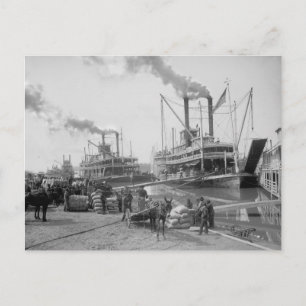 Cartão Postal Barcos a vapor em Vicksburg, 1910