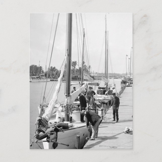 Cartão Postal Barcos à vela Miami, 1905 (Frente)