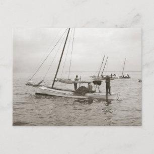 Cartão Postal Barcos de Ostras, 1903